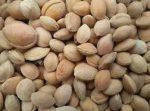 بذر درخت آلوچه بویین زهرا