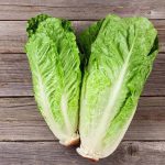 کاهو رسمی Lettuce