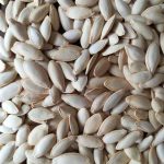 کدو آجیلی گوشتی