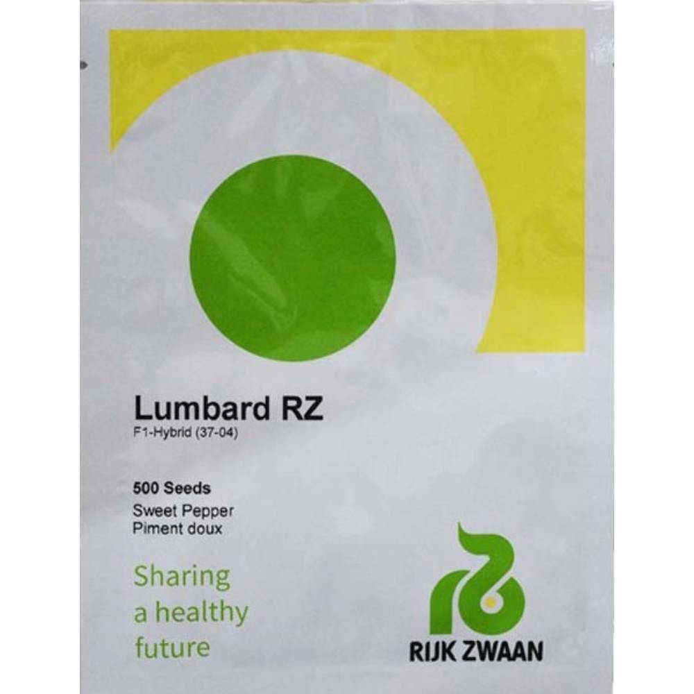 بذر فلفل شمشیری لامبارد رکسوان