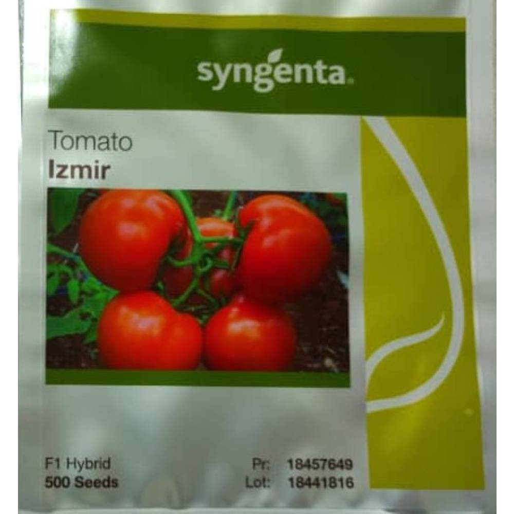 بذر گوجه فرنگی گلخانه ای ازمیر