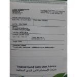 گل کلم اریزونا سمینیس