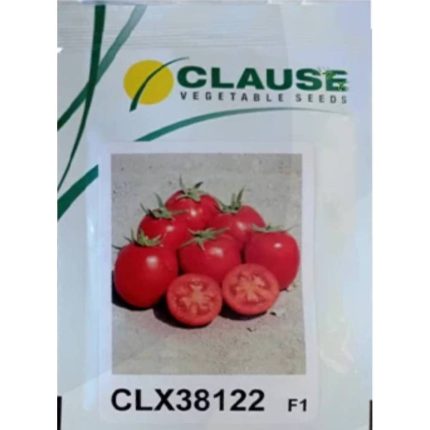 بذر گوجه بلوکی سی ال ایکس 38122