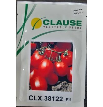 بذر گوجه بلوکی سی ال ایکس 38122