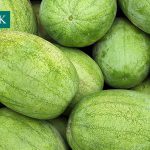 هندوانه سفید چارلستون گری اسماک