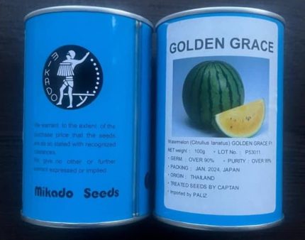 بذر هندوانه آناناسی گلدن گریس میکادو
