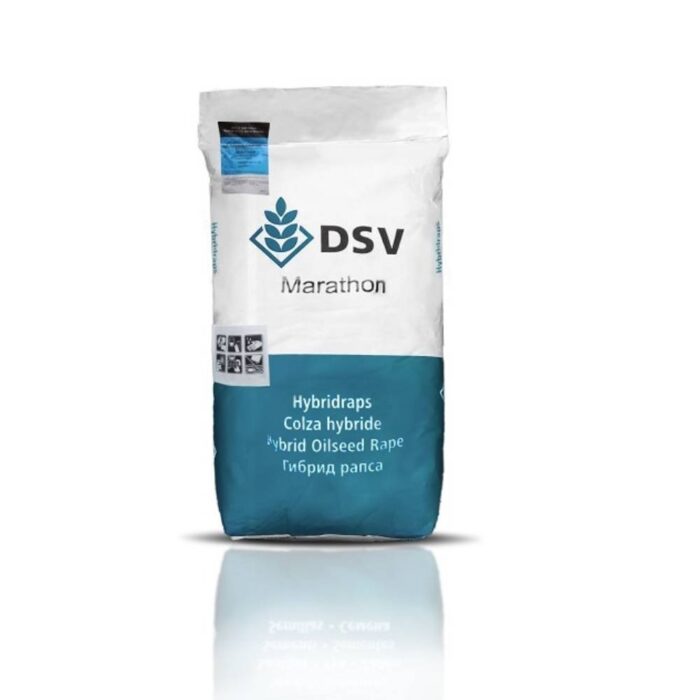 بذر کلزا هیبرید ماراتن DSV
