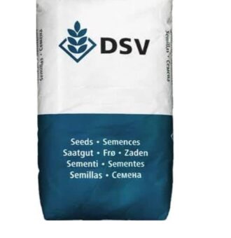 بذر چمن لولیوم پرنه DSV