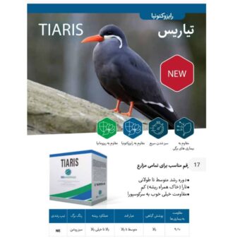 بذر چغندر قند تیاریس بلژیک