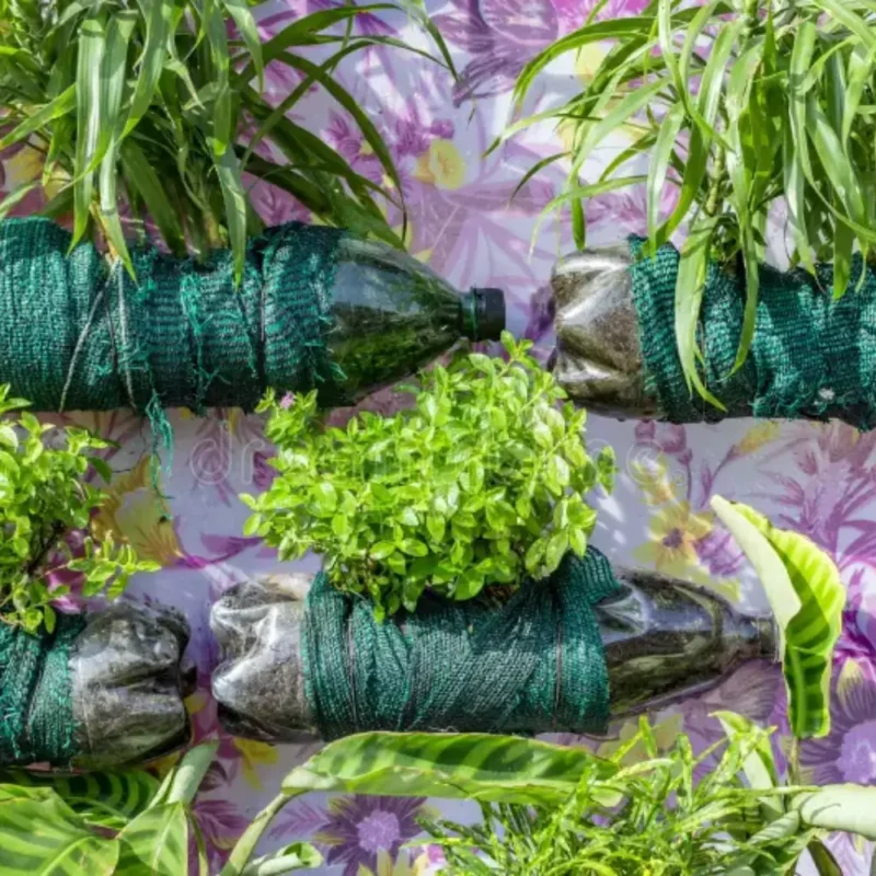 کاشت سبزیجات در بطری نوشابه