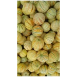 بذر ملون شاه پسند ارمغان 804